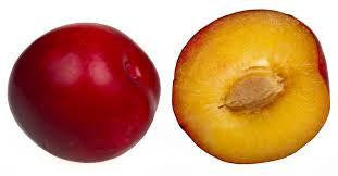 Plum (High Nic) - Texas Rebel Juice