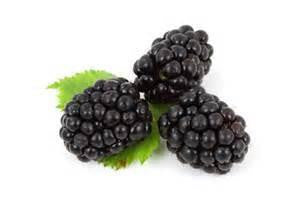 Blackberry (Low Nic) - Texas Rebel Juice