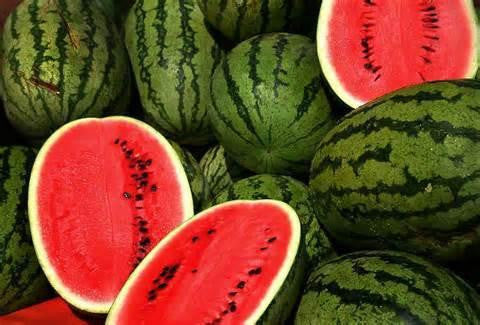 Watermelon (High Nic) - Texas Rebel Juice
